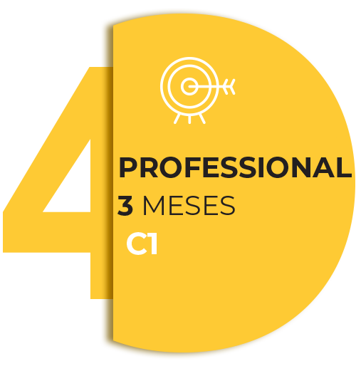 TalkNow Aprende Ingles desde el primer dia academia de idiomas nivel Professional TalkNow Aprende Ingles desde el primer dia academia de idiomas nivel Professional